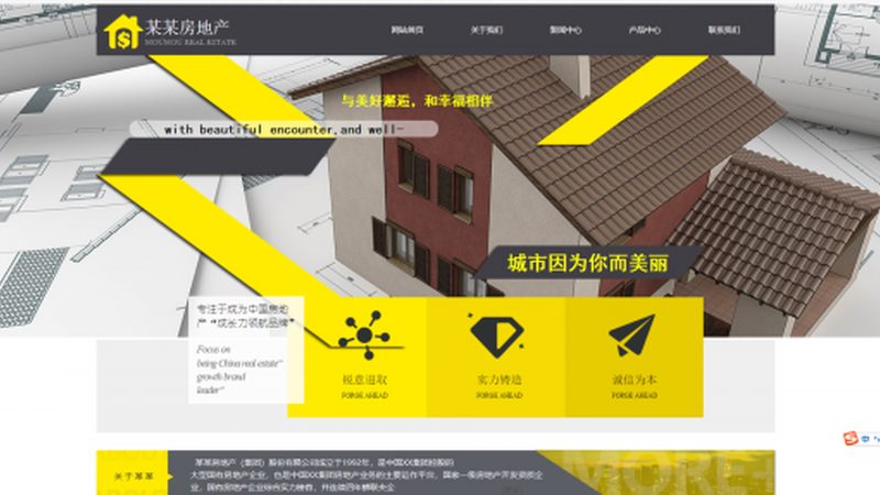 高校门户网站建设：揭秘流程与关键步骤